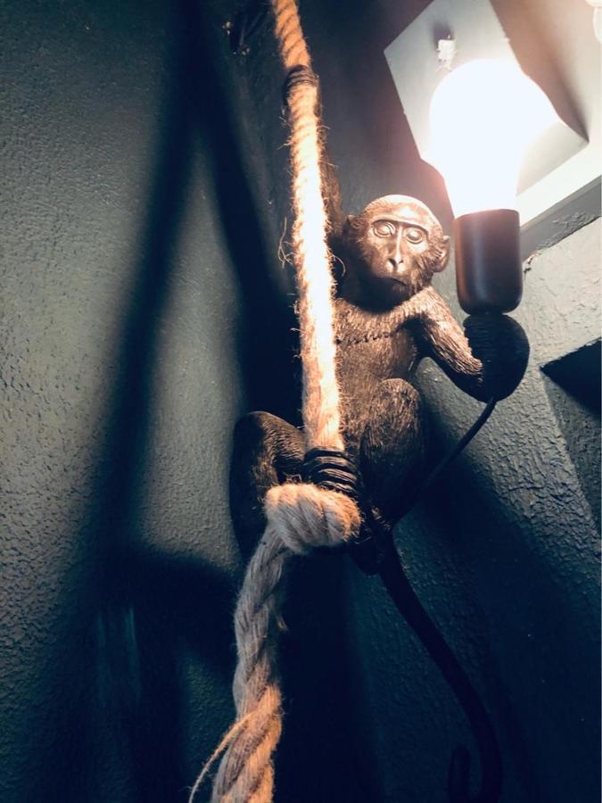 Le Jungle Charmant Appartement Avec Exterieur Nîmes Exteriér fotografie